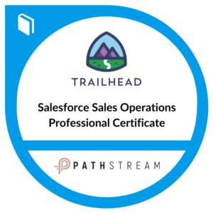Salesforce Sales Operations review