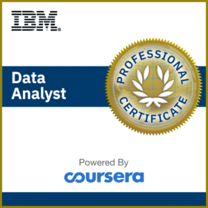 IBM Data Analyst logo